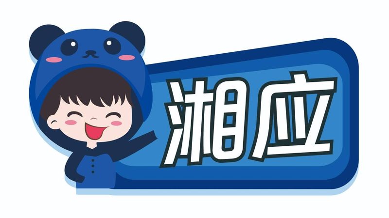 IT咨询项目报价单：揭秘其背后的考量与标准**